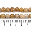 Natural Agate Beads Strands G-U026-A07-8mm-5