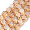 Electroplate Glass Beads Strands EGLA-C010-01A-PL02-1
