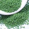 MIYUKI Delica Beads Small SEED-X0054-DBS0163-1
