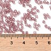 Transparent Glass Seed Beads SEED-S042-21B-03-4