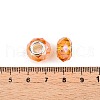 Baking Paint Transparent Glass European Beads GPDL-N004-C14mm-A01-3