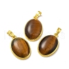 Natural Tiger Eye Pendants G-H286-07G-12-1