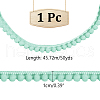 Polyester Ribbon OCOR-WH0086-77E-2