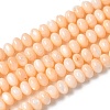 Natural Freshwater Shell Beads Strands SSHEL-C013-07H-1