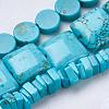 Natural Magnesite Beads Strands TURQ-K003-09-2