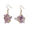 Natural Mixed Stone Beads & Glass Beads Chip Dangle Earrings EJEW-JE06386-4