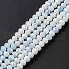 Faceted Electroplated Glass Beads Strands GLAA-C023-02A-6