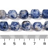 Natural Blue Spot Jasper Beads Strands G-B125-O02-01-5