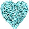 Dyed & Heated Natural Howlite Chip Beads G-GA0001-17-1