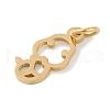 304 Stainless Steel Pendants STAS-L279-001G-06-2