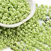 Baking Paint Glass Seed Beads X1-SEED-A032-02F-1
