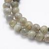 Natural Labradorite Beads Strands G-P322-33-6mm-3