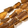 Raw Rough Natural Amber Beads Strands G-B125-C01-02-2