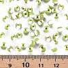 6/0 Glass Seed Beads SEED-S007-8-4