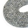 Natural Labradorite Beads Strands G-A260-A44-01A-3