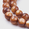 Shell Beads Strands BSHE-P026-39-2