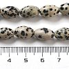 Natural Dalmatian Jasper Beads Strands G-B106-B20-01-5