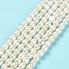 Natural Cultured Freshwater Pearl Beads Strands PEAR-E016-105-2