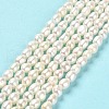 Natural Cultured Freshwater Pearl Beads Strands PEAR-E016-105-2