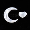 Natural White Shell Beads Sets SSHEL-N032-52B-02-2