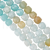 Olycraft 1 Strand Natural Flower Amazonite Beads Strands G-OC0005-47-1