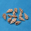 Natural Spiral Shell Beads BSHE-S059-1