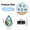 FIBLOOM 10Pcs Abalone Shell/Paua Shell Beads SSHEL-FI0001-01-2