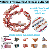 Beebeecraft 5 Strands 5 Colors Dyed Natural Freshwater Shell Beads Strands SHEL-BBC0001-13-2