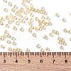 TOHO Round Seed Beads SEED-XTR08-0770-3
