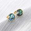 304 Stainless Steel Natural Paua Shell Stud Earrings EJEW-Z103-10G-1