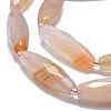 Natural Carnelian Beads Strands G-O179-G01-1-1