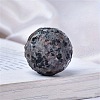 Moon Meteorite Natural Syenite Crystal Ball PW-WG23337-04-1