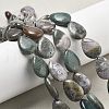Natural Indian Agate Beads Strands G-P528-L25-01-1