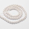 Shell Pearl Beads Strands X-BSHE-L025-01-6mm-2