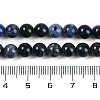 Natural Dumortierite Beads Strands G-G167-A06-6MM-5