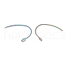 Rainbow Color Ion Plating(IP) 316 Surgical Stainless Steel Earring Hooks STAS-D183-04M-2