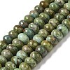 Natural Turquoise Beads Strands G-P506-03B-01-1