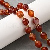 Natural Carnelian Beads Strands G-D305-B03-01-1