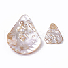 Freshwater Shell Big Pendants SHEL-Q019-001-2