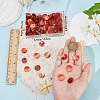 Beebeecraft 140Pcs Dyed Natural Akoya Shell Pendants BSHE-BBC0001-07B-3