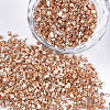 Plated Glass Seed Beads MRMJ-S034-04P-1
