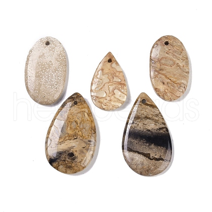 Natural Coconut fossil Pendant G-Q164-10-1