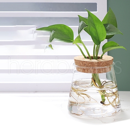 Trapezoid Glass Vase PW-WG0FA6A-01-1