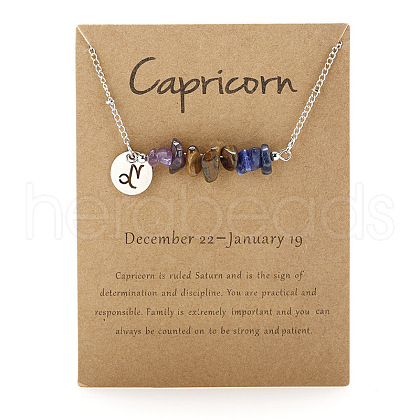 667 Stainless Steel with Natural Amethyst & Natural Tiger Eye & Natural Lapis Lazuli Chip Pendant Necklaces FS-WGFED6E-05-1