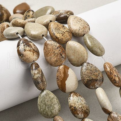 Natural Picture Jasper Beads Strands G-P528-L24-01-1