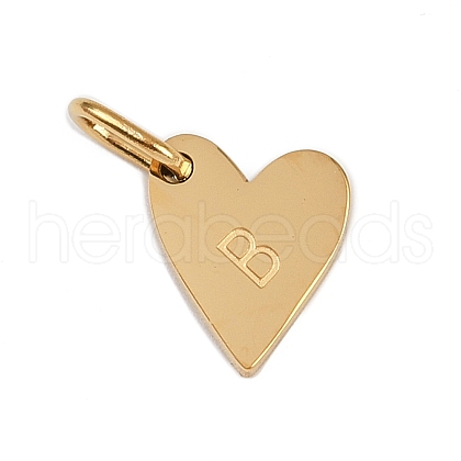304 Stainless Steel Charms STAS-L291-01G-B-1