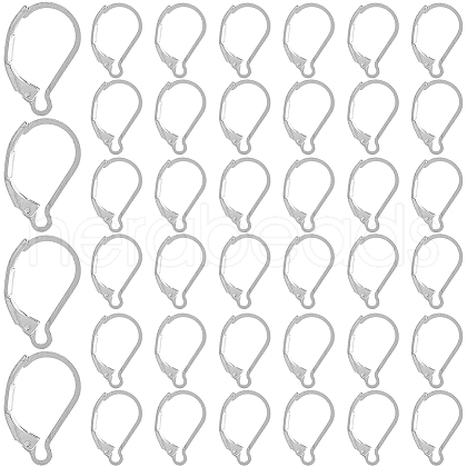 SOFPLATE 304 Stainless Steel Leverback Earring Findings STAS-SP0001-05A-1