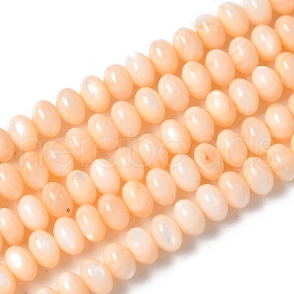 Natural Freshwater Shell Beads Strands SSHEL-C013-07H-1
