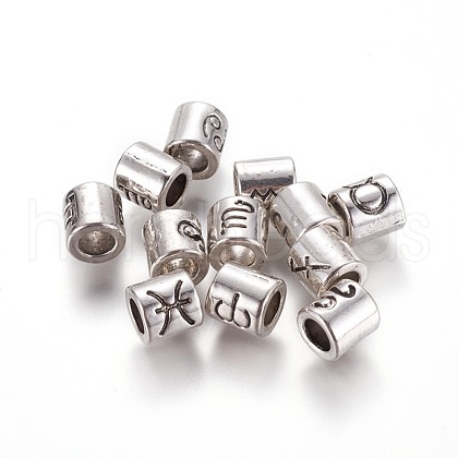Alloy European Beads PALLOY-WH0065-20AS-1