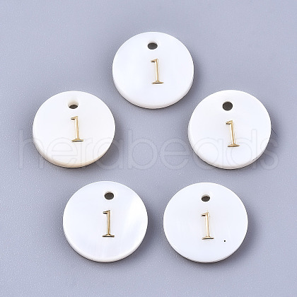 Natural Freshwater Shell Charms SHEL-Q023-01-1